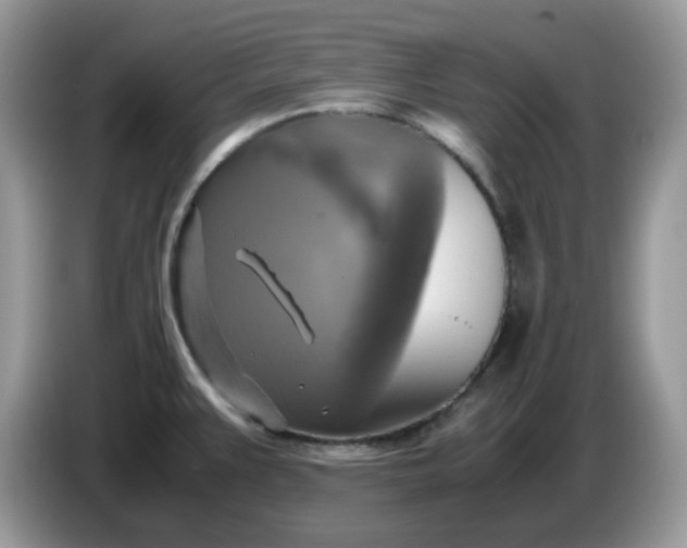 X0000086761383200704271721