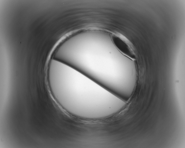 X0000086761384200704271721