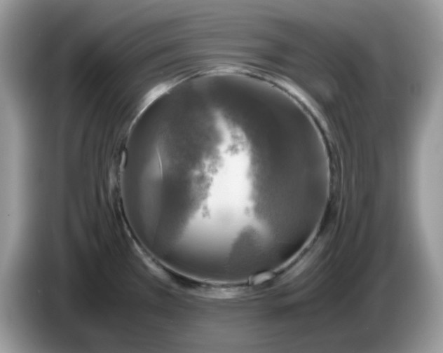 X0000086761385200704271721