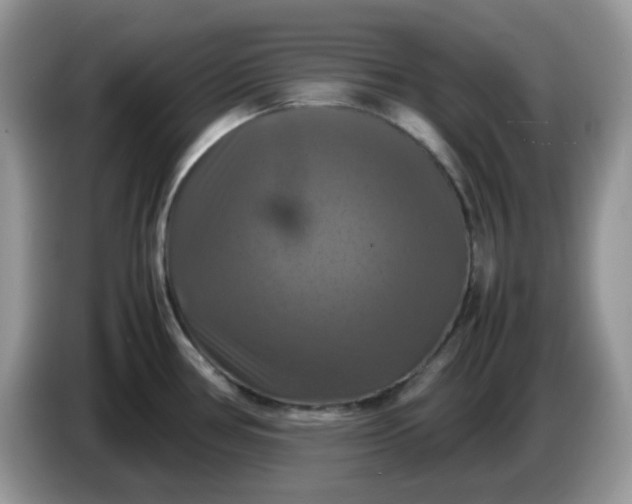 X0000086761386200704271721