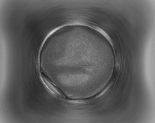 X0000086761388200704271721