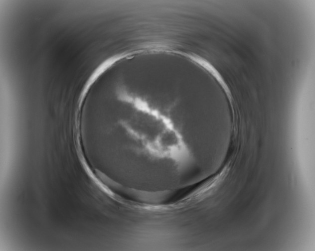 X0000086761389200704271721