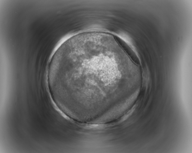 X0000086761390200704271721