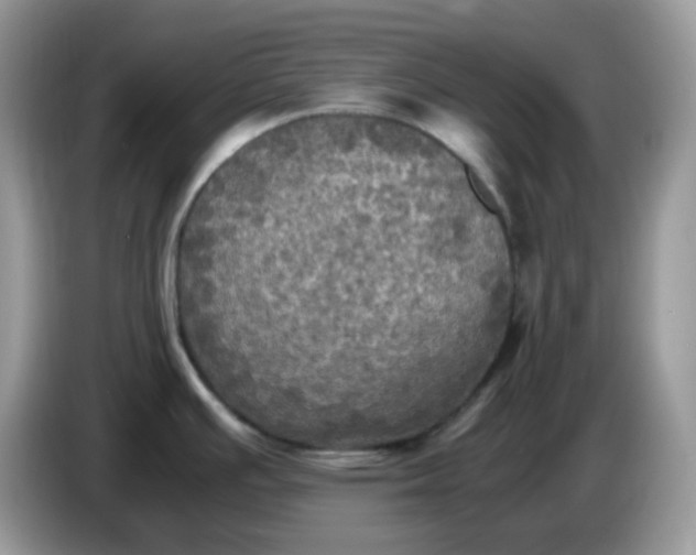 X0000086761391200704271721