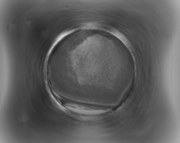 X0000086761392200704271721