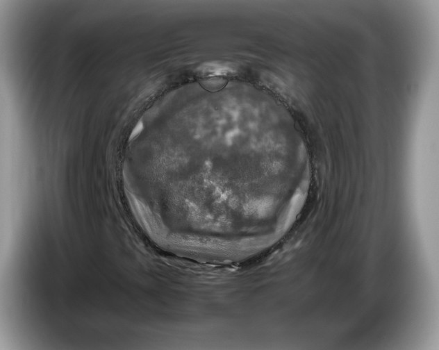 X0000086761393200704271721