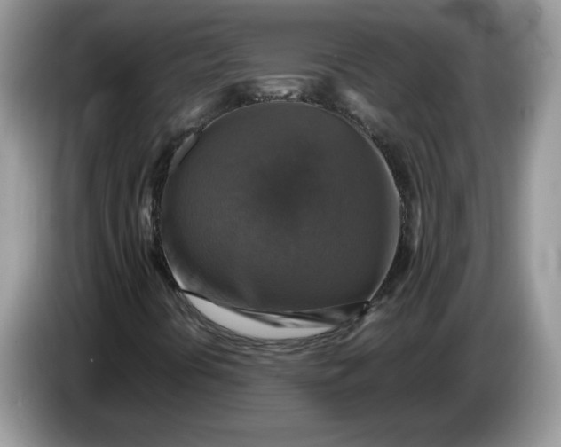 X0000086761394200704271721