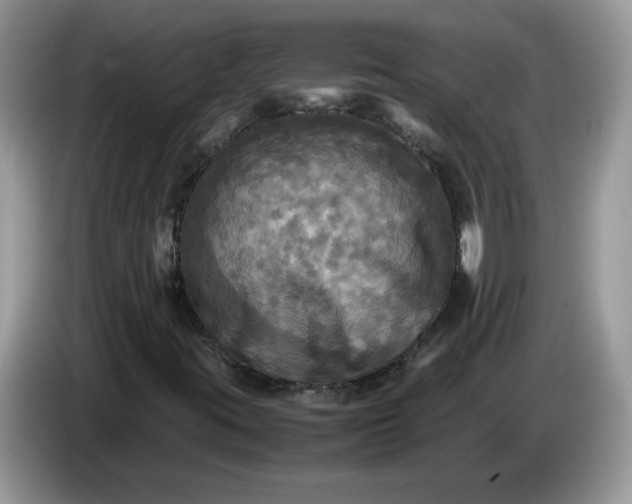 X0000086761395200704271721