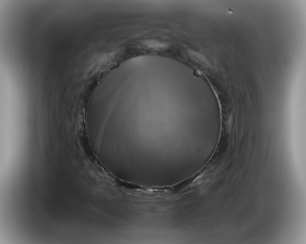 X0000086761397200704271721