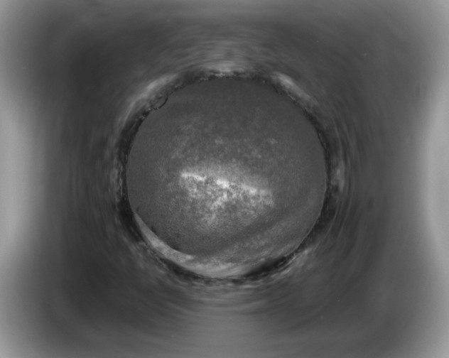 X0000086761398200704271721