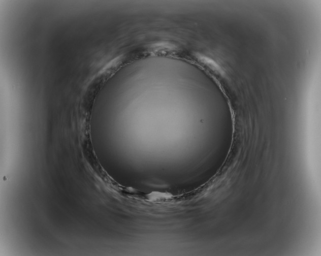 X0000086761399200704271721