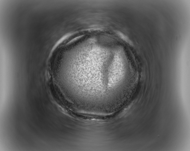 X0000086761400200704271721