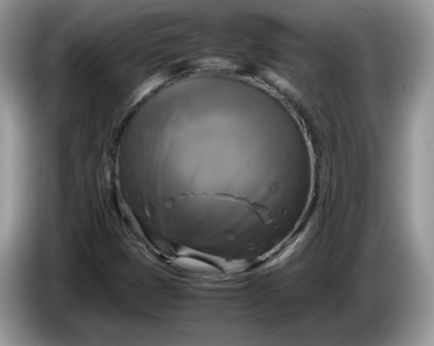 X0000086761401200704271721