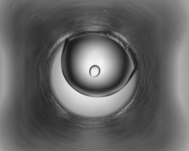 X0000086761402200704271721