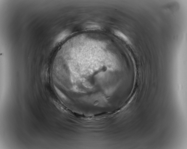 X0000086761403200704271721