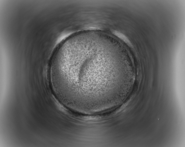 X0000086761404200704271721