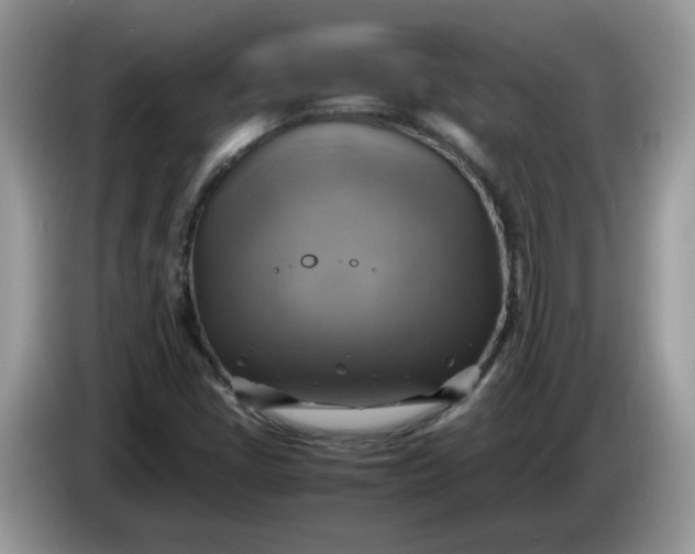 X0000086761405200704271721