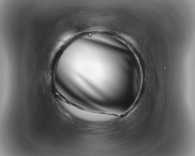 X0000086761406200704271721