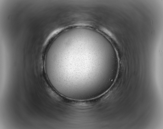 X0000086761408200704271721