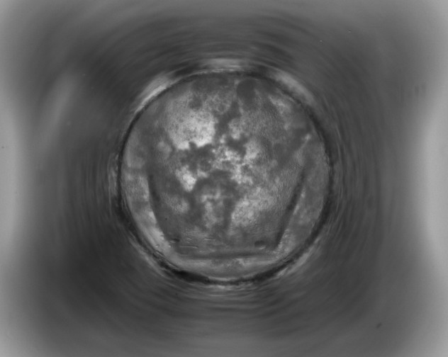 X0000086761409200704271721