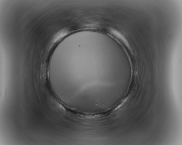 X0000086761411200704271721