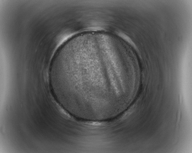 X0000086761412200704271721