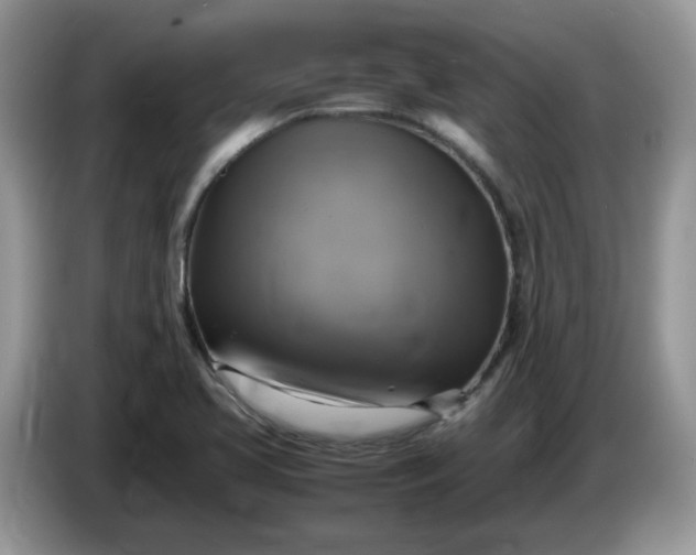 X0000086761413200704271721