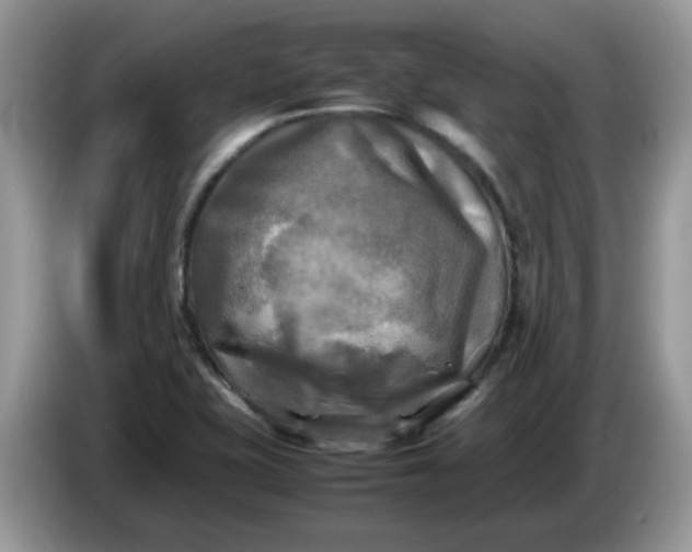 X0000086761415200704271721