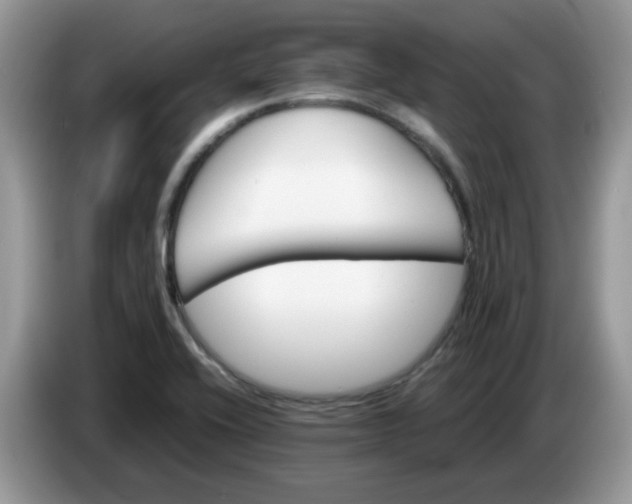 X0000086761416200704271721