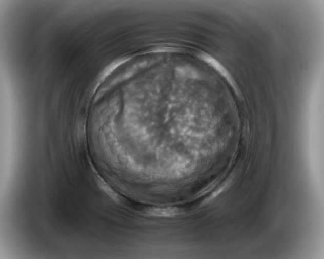 X0000086761417200704271721