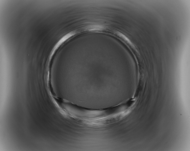 X0000086761418200704271721