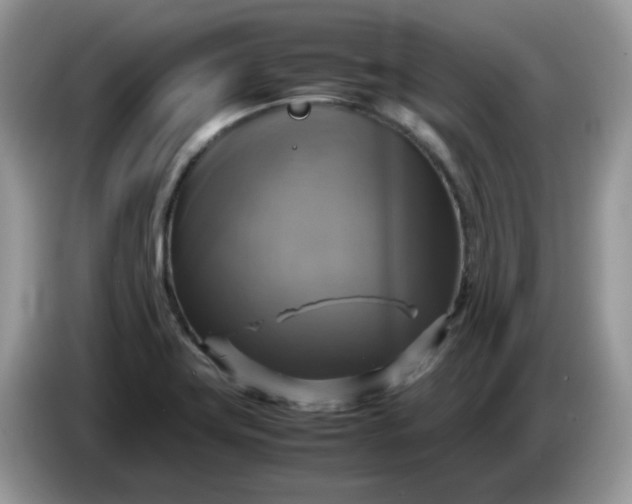 X0000086761419200704271721