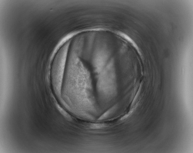 X0000086761421200704271721