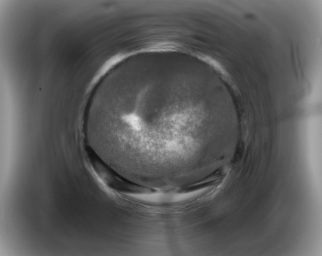 X0000086761422200704271721