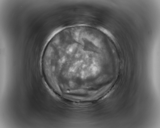 X0000086761423200704271721