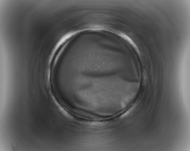 X0000086761424200704271721