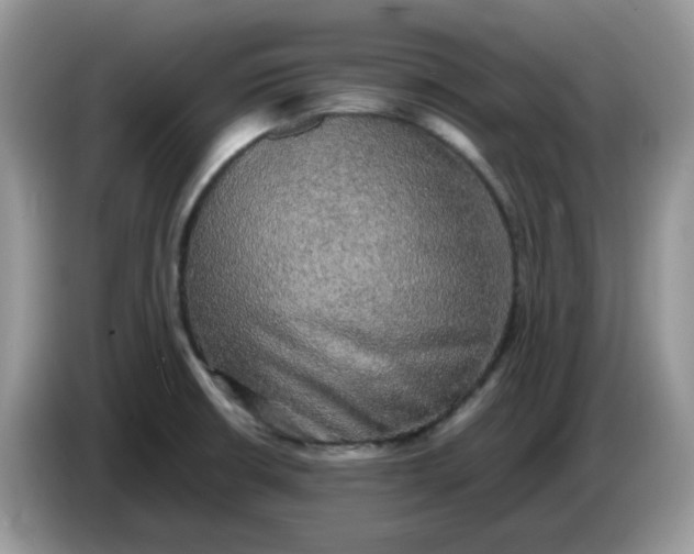 X0000086761426200704271721