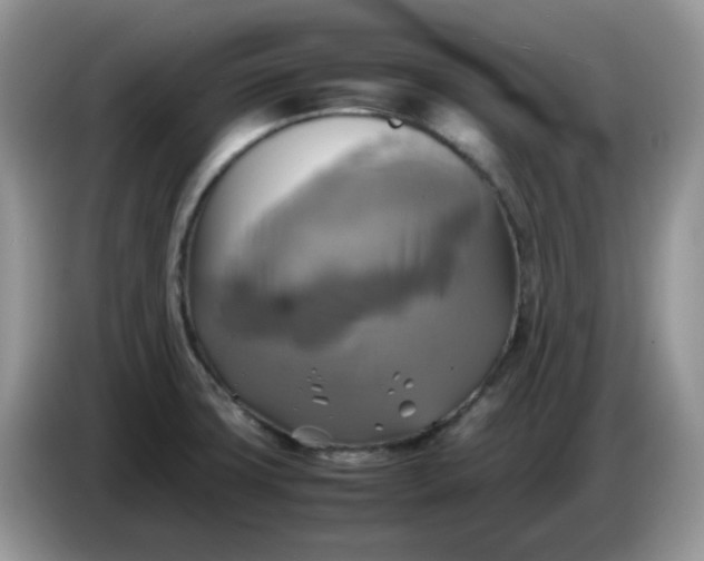 X0000086761427200704271721