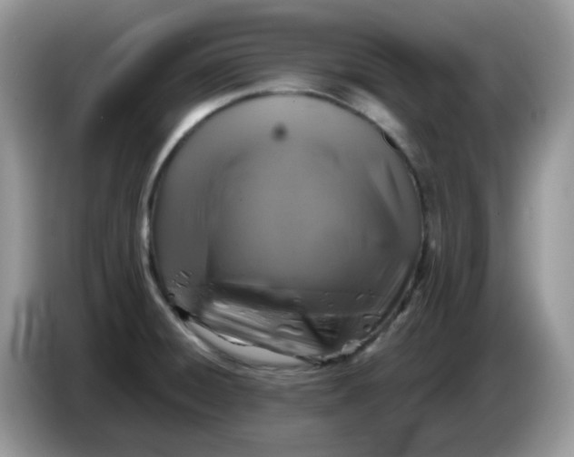 X0000086761428200704271721