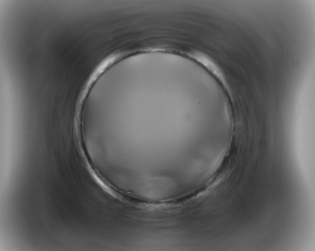 X0000086761429200704271721