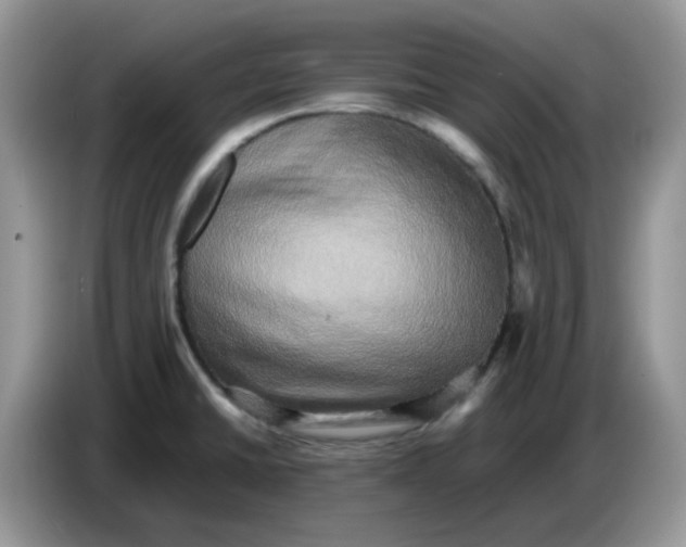 X0000086761430200704271721