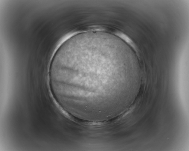 X0000086761431200704271721