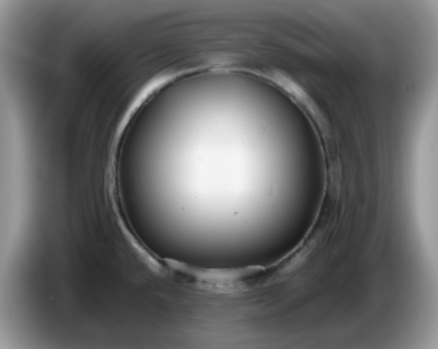 X0000086761432200704271721