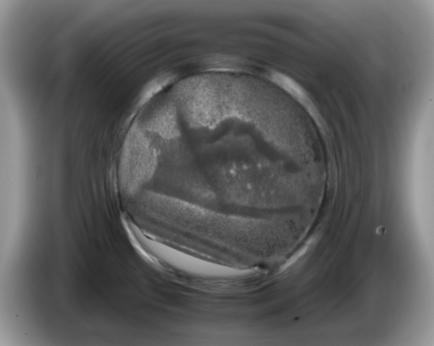 X0000086761433200704271721