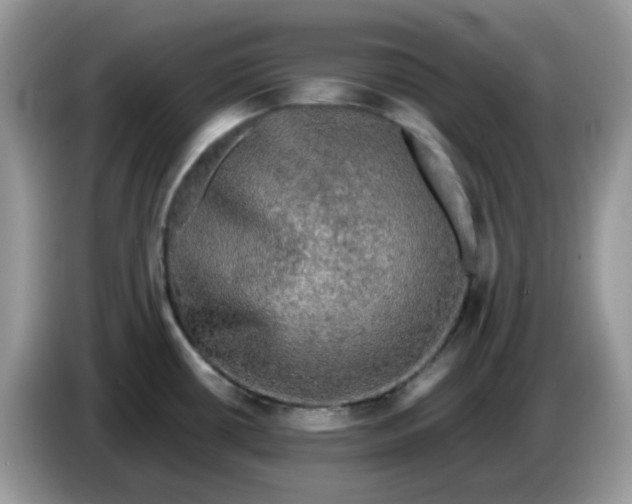 X0000086761434200704271721