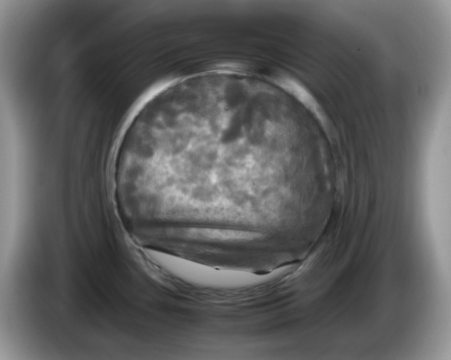 X0000086761435200704271721