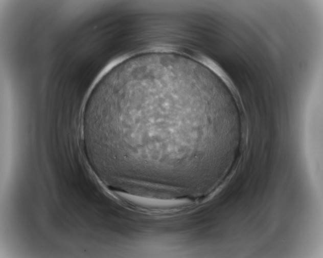 X0000086761436200704271721