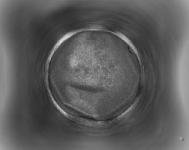 X0000086761437200704271721