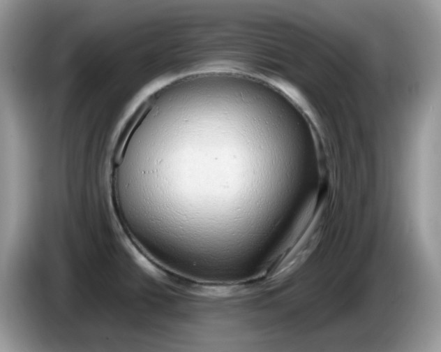 X0000086761438200704271721