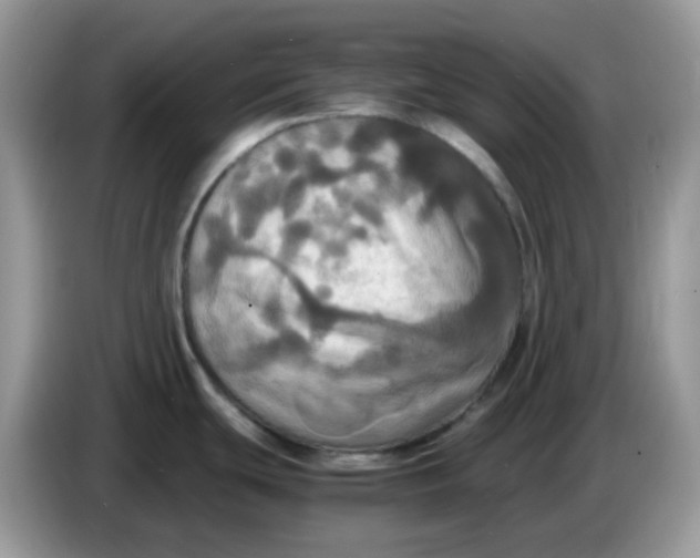 X0000086761439200704271721